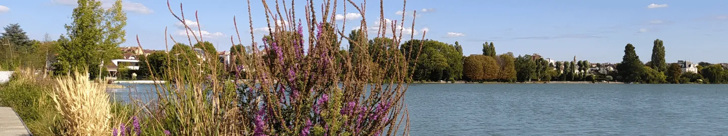 Crèches dans le Val-d’Oise : Offrez à votre enfant un accueil de qualité
